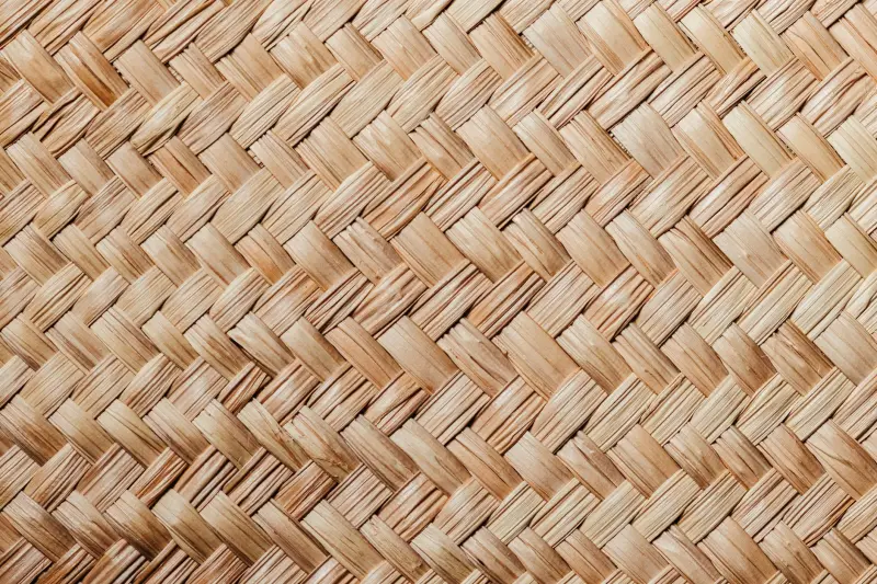 泉州兴雅卫生用品成人纸尿裤系列规格与适用场景解析